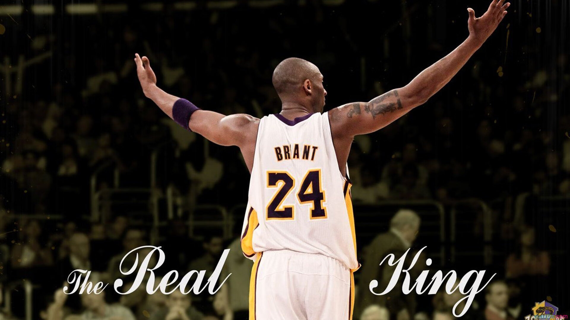 CBA球员展现职业风范与担当，cba球队球员